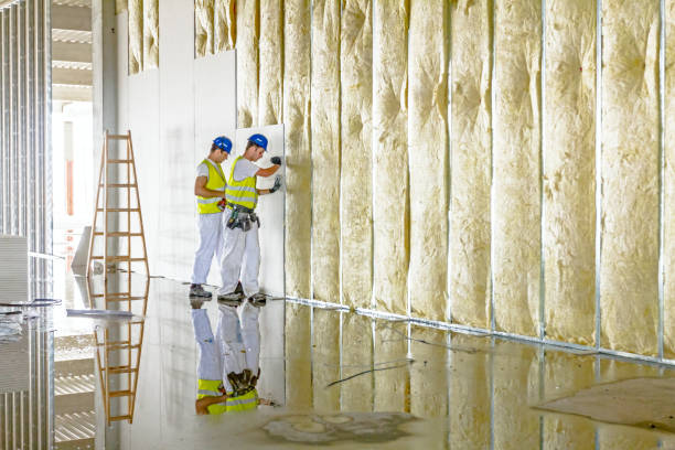 Best Insulation for New Construction  in Newburyport, MA